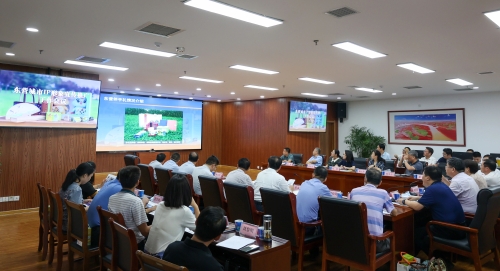 东营市城市IP宣传推广工作会议举行
