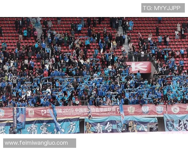 2020中超联赛精彩对决苏宁与申花的巅峰对抗与战术较量回顾